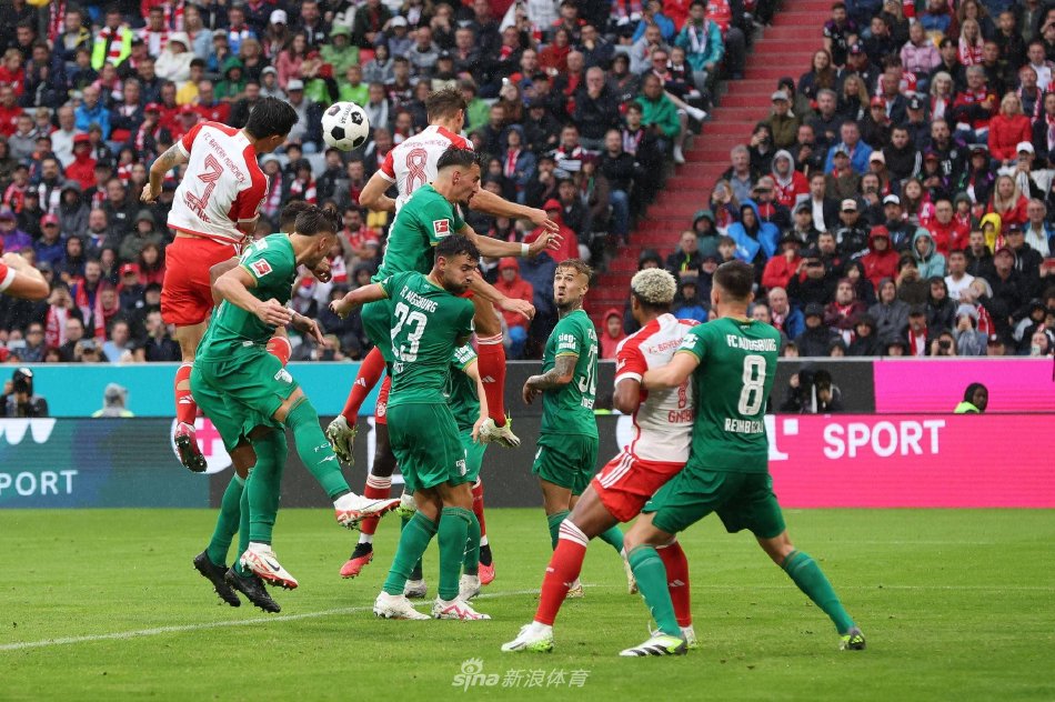 坚定地表示 坚定地表示